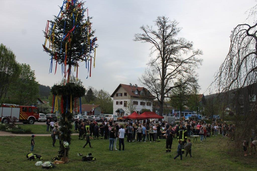 Maibaum 2024 104