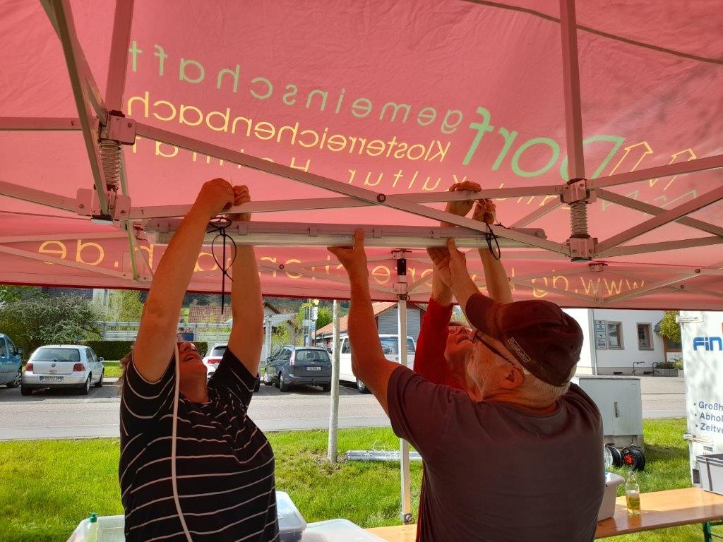 Maibaum 2024 23