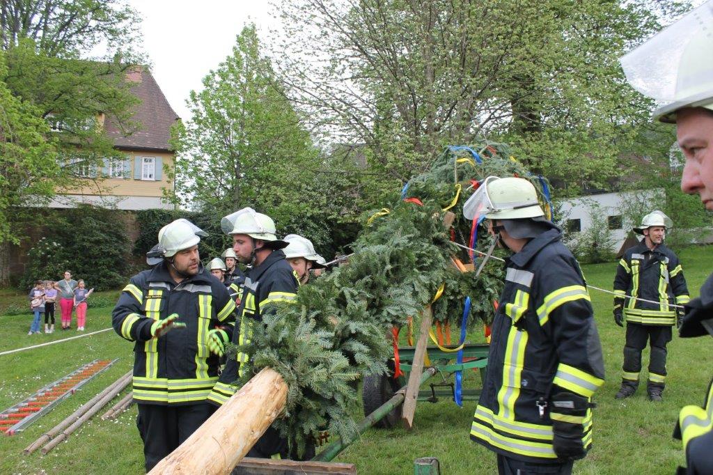 Maibaum 2024 57