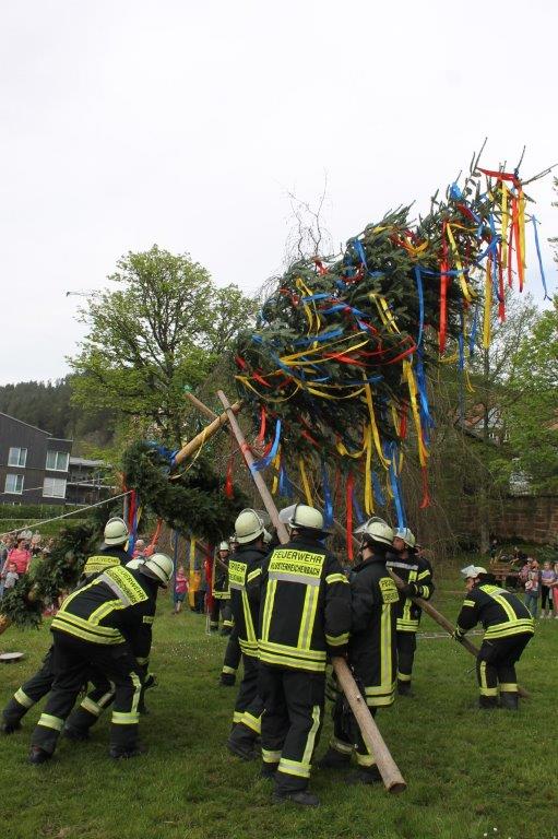 Maibaum 2024 65