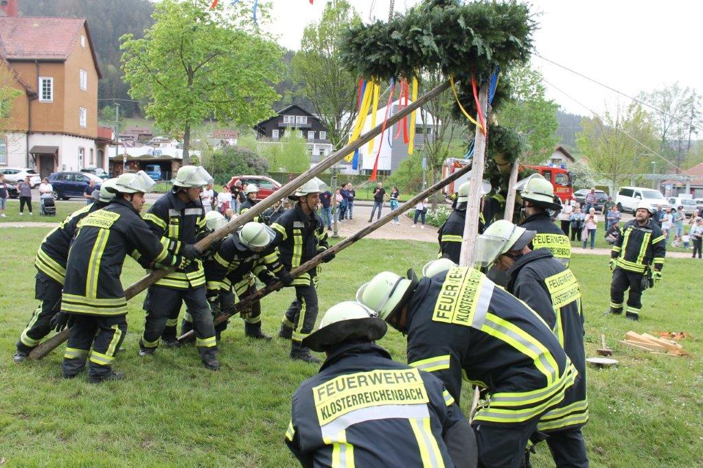 Maibaum 2024 69