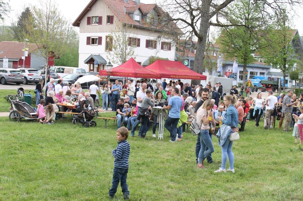 Maibaum 2024 84