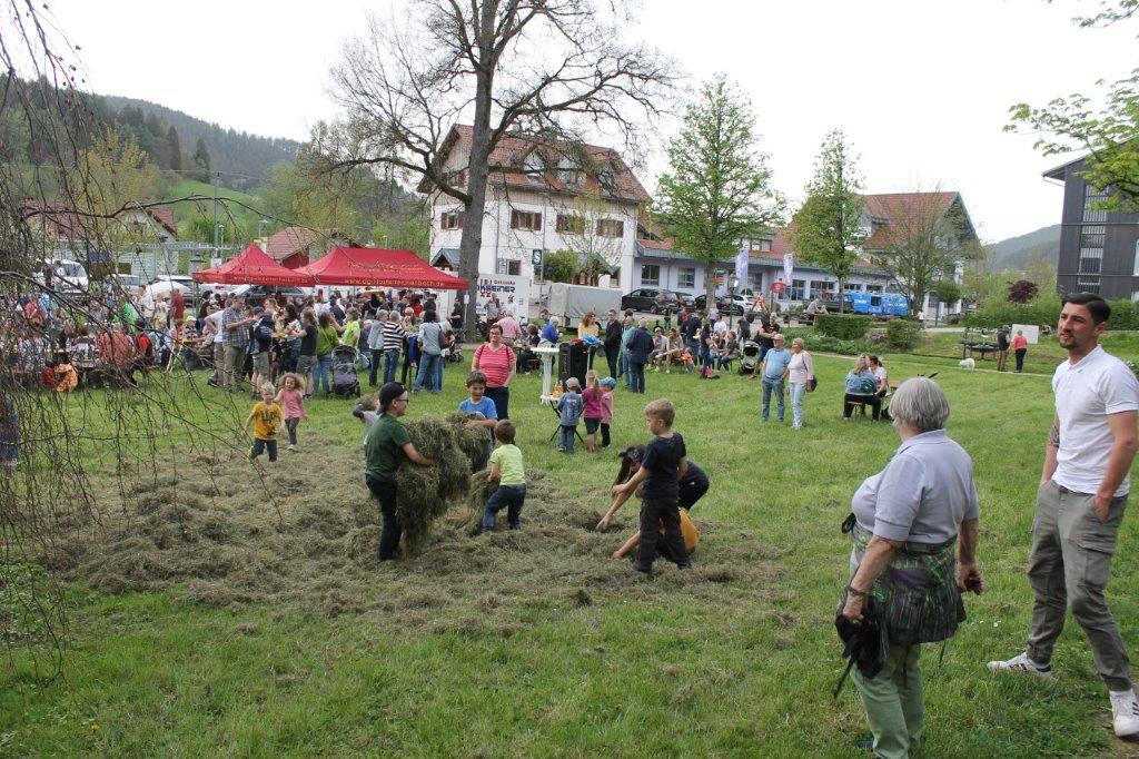 Maibaum 2024 85